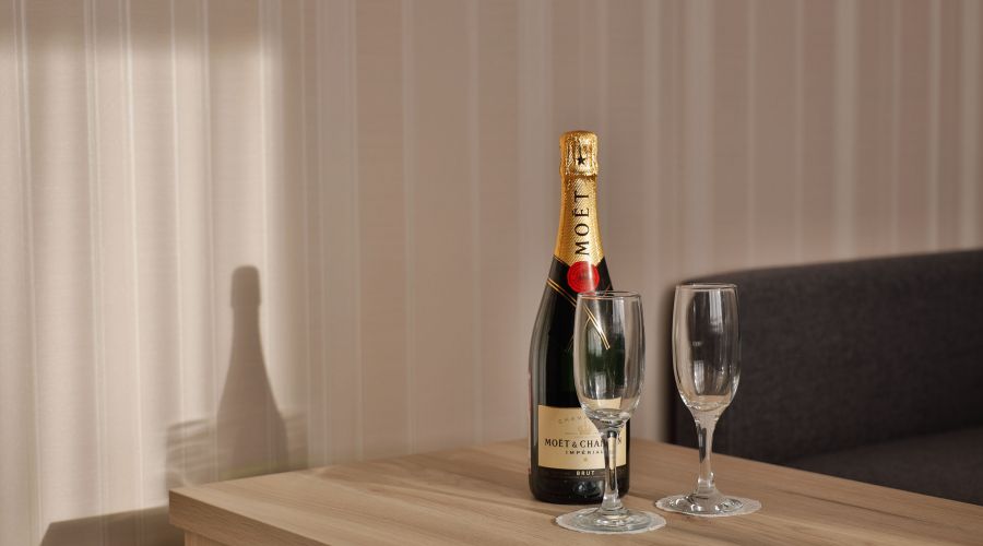 Стандартный 2-местный с видом в стену