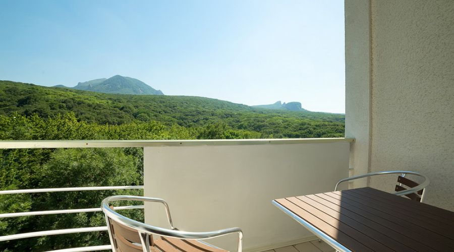 Стандартный 1-местный 1-комнатный номер в центральном корпусе