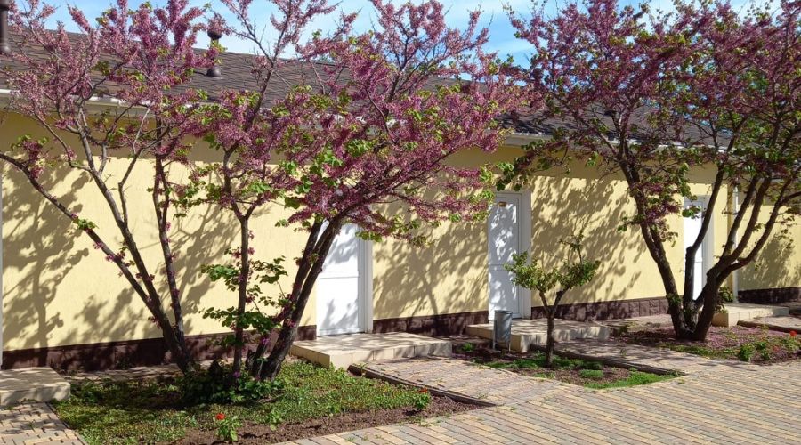 Стандарт 1-местный