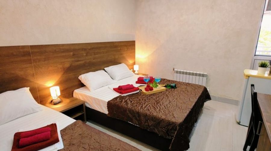 Стандартный плюс 3-местный 1-комнатный