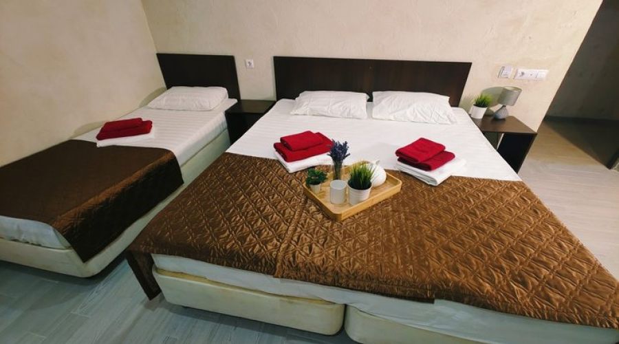 Стандартный плюс 4-местный 1-комнатный