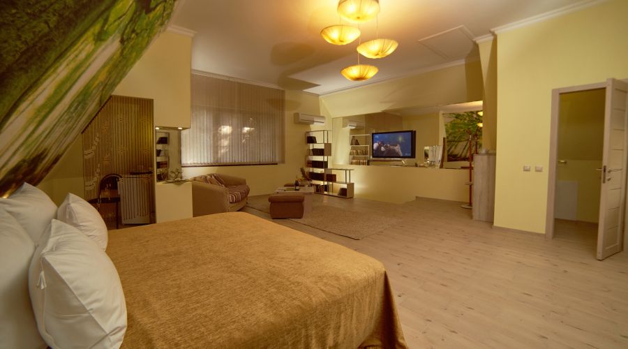 Люкс 2-местный люкс гармония