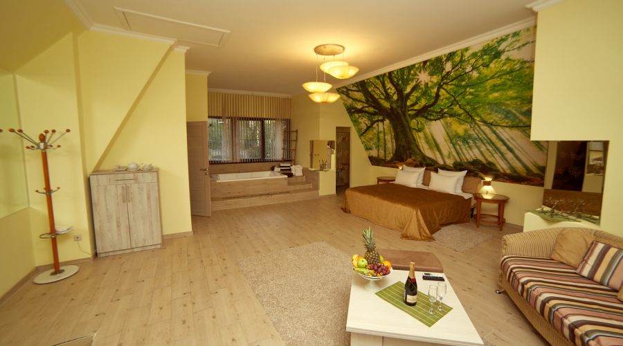 Люкс 2-местный люкс гармония