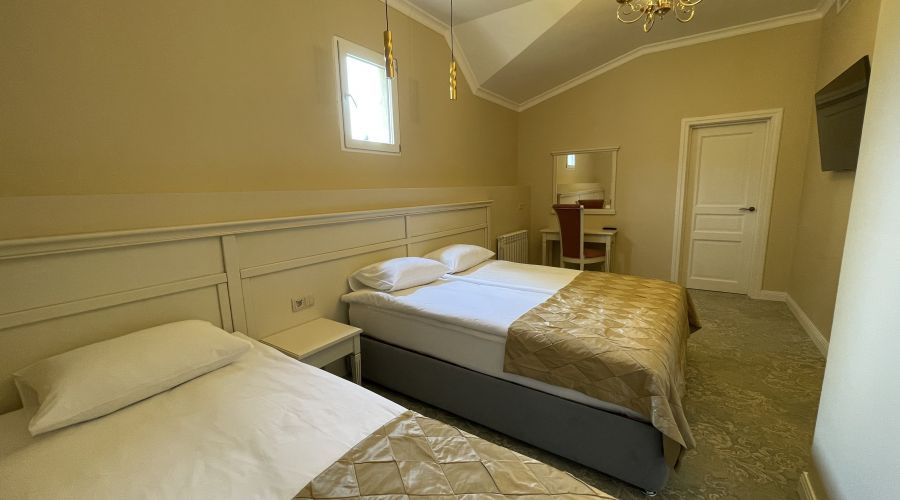 Люкс люкс семейный 3-местный