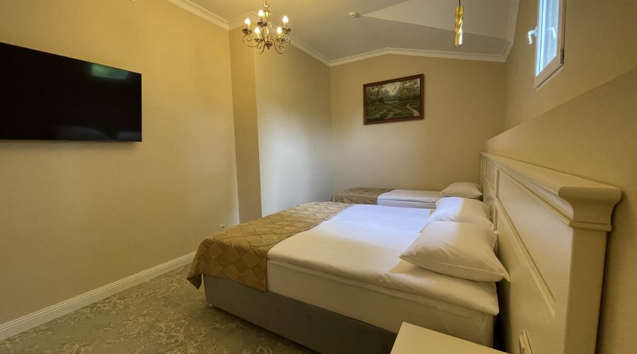 Люкс люкс семейный 3-местный