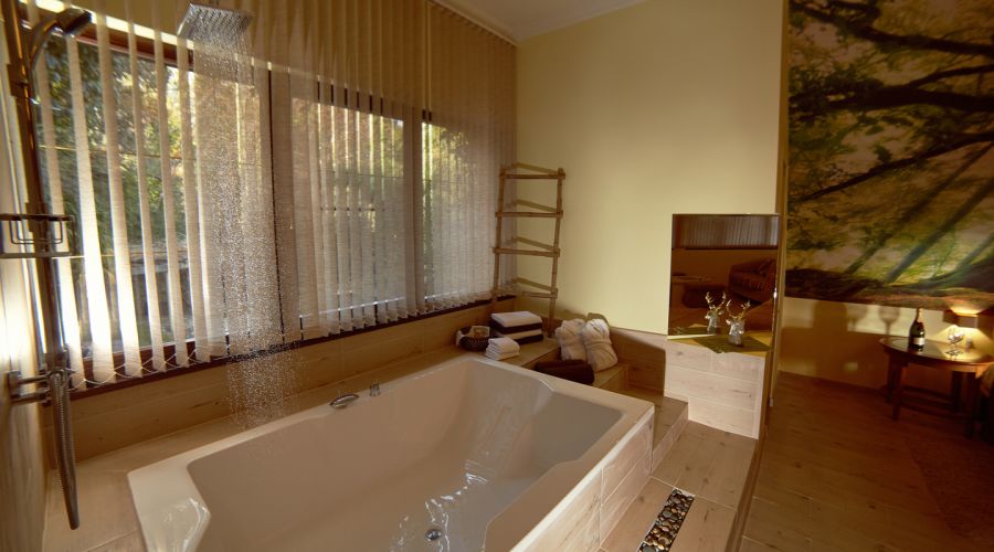 Люкс 2-местный люкс гармония