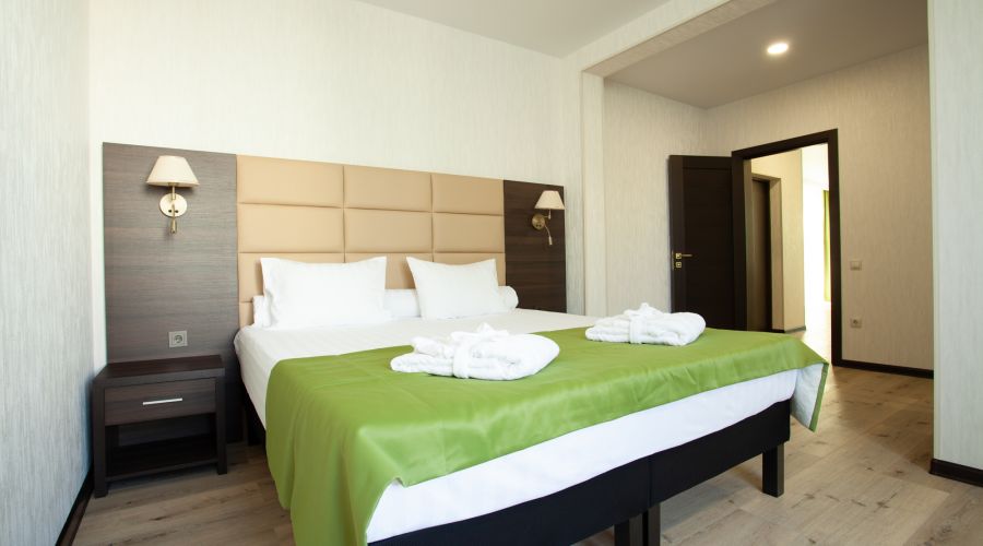 Люкс Люкс 2-местный 2-комнтаный