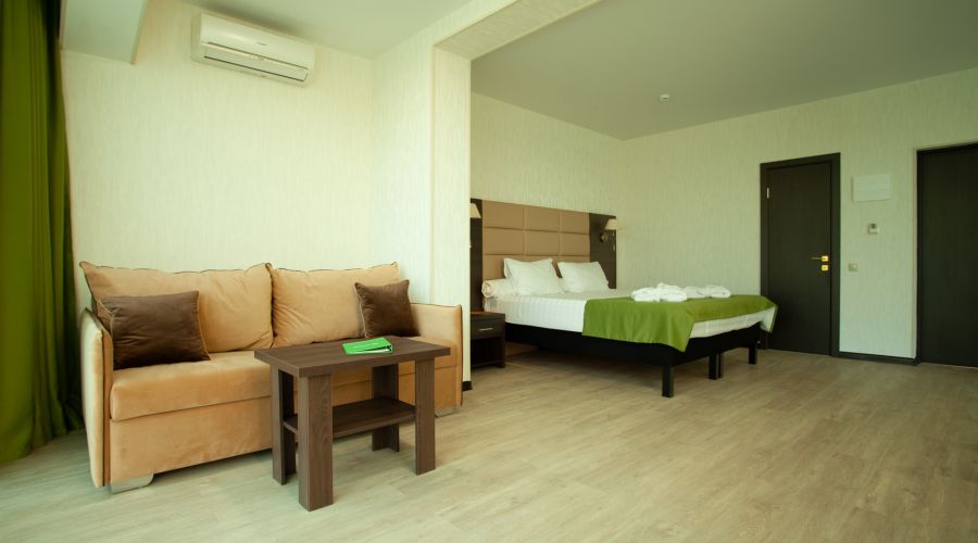 Студия Студия 2-местный 1-комнатный