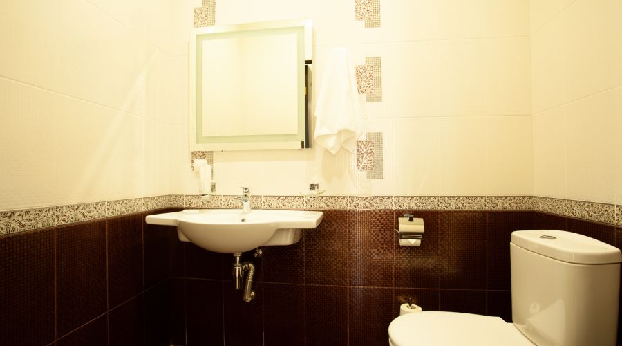 Люкс Люкс 2-местный 2-комнтаный