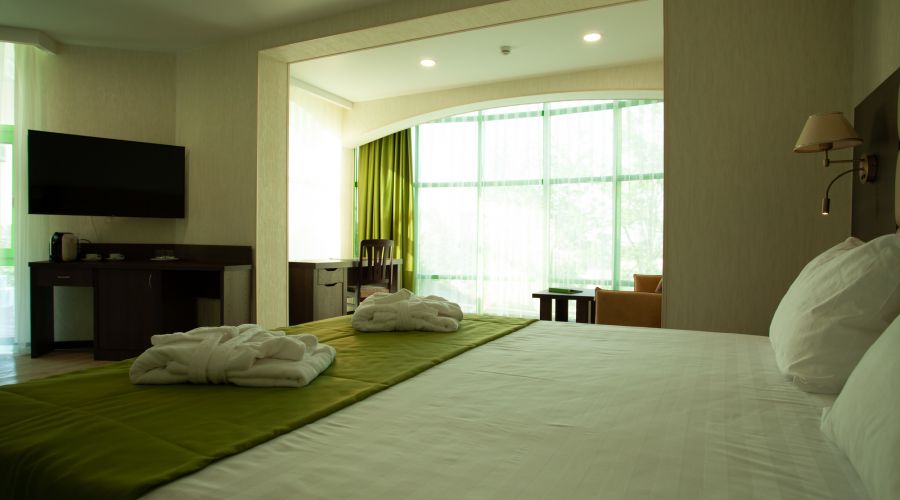 Студия Студия 2-местный 1-комнатный