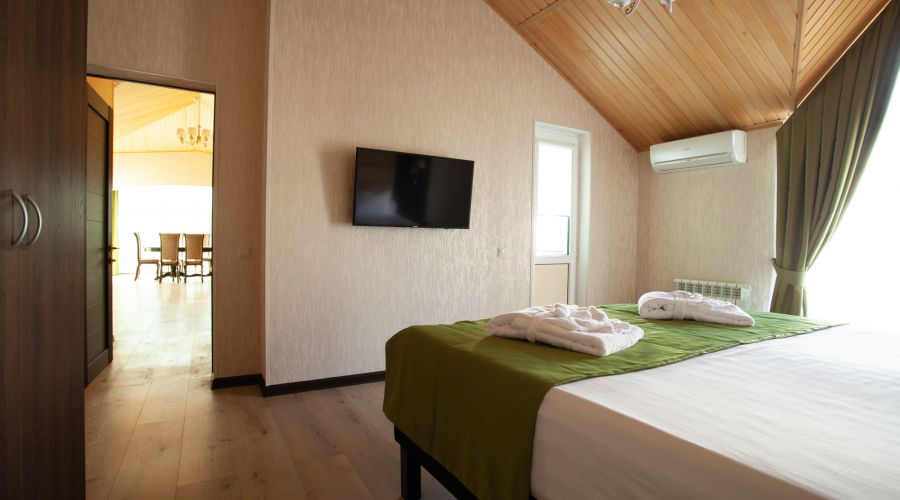 Люкс Люкс 2-местный 2-комнтаный