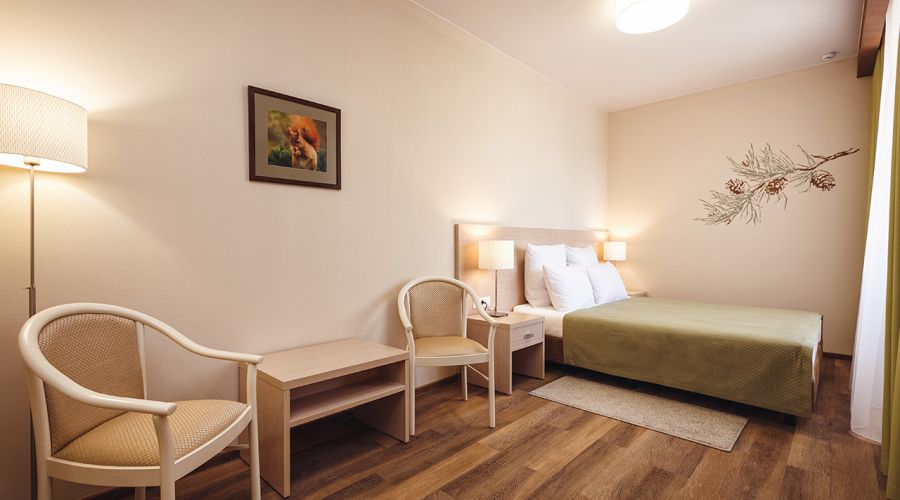 Стандарт 2-местный 1 категория