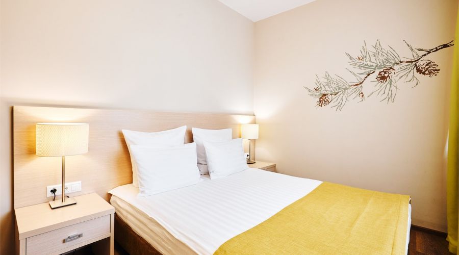 Стандарт 2-местный 1 категория