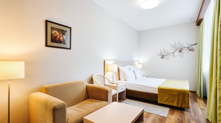 Стандарт 2-местный 1 категория