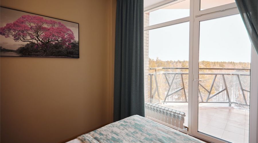 Стандарт 2-местный улучшенный с видом на окрестности