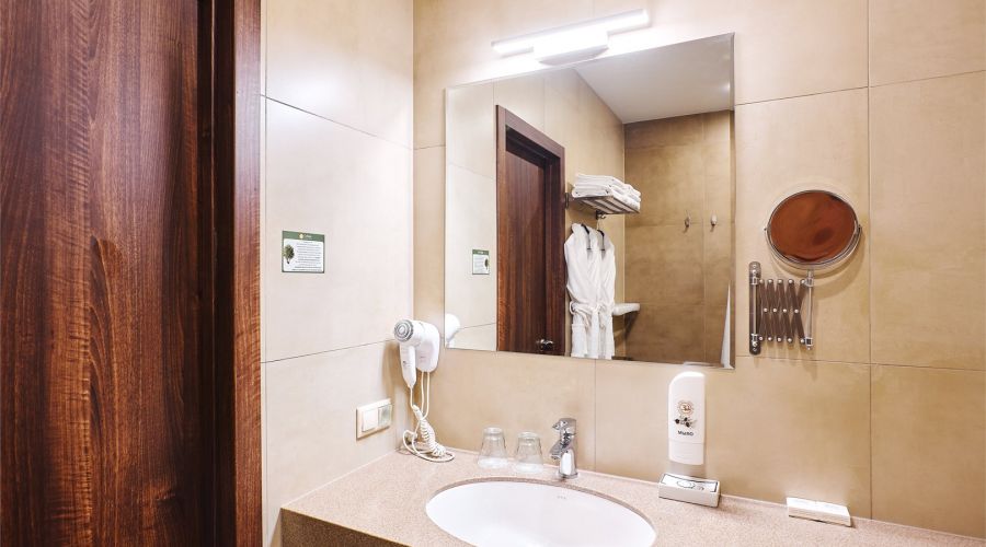 Студия 2-местная улучшенная с видом на реку