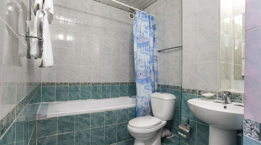 Стандарт 2-местный Double с видом на город