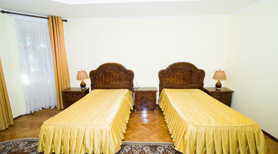 Люкс люкс 2-местный "Гемо" в корпусе 5