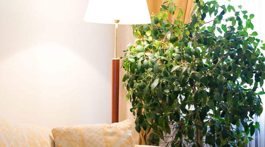 Апартамент аппартамент  "ГЕМО" 2-комнатный 2-местный "Гемо" в корпусе 5