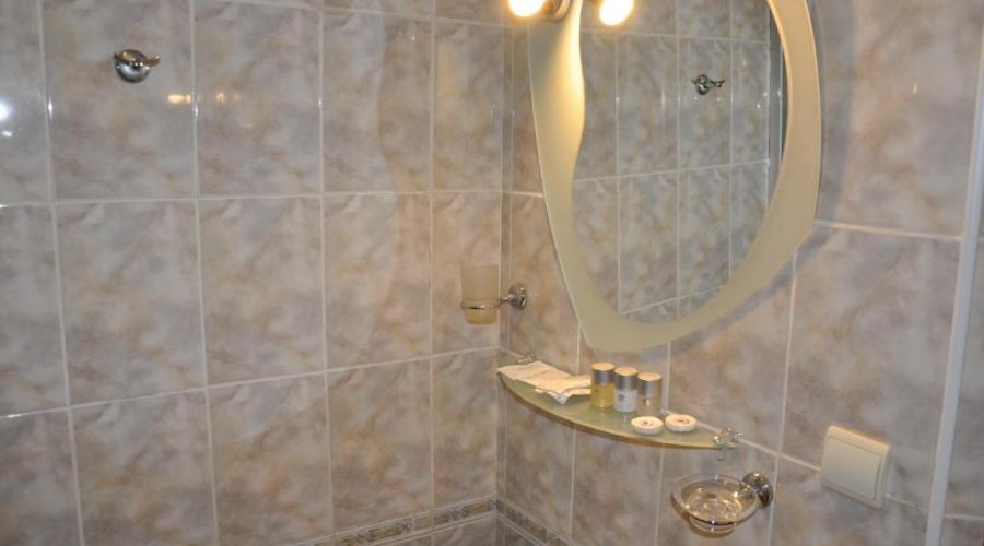 Полулюкс 2-местный