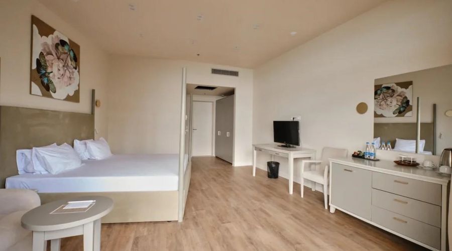 Комфорт 2-местный 1-комнатный (корпус 1,2,9, СПА отель)