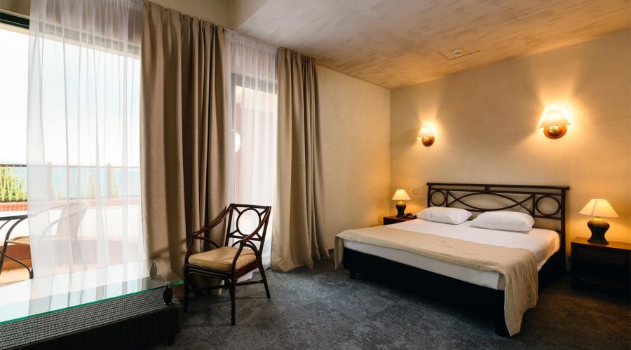 Комфорт 2-местный 1-комнатный (корпус 1,2,9, СПА отель)