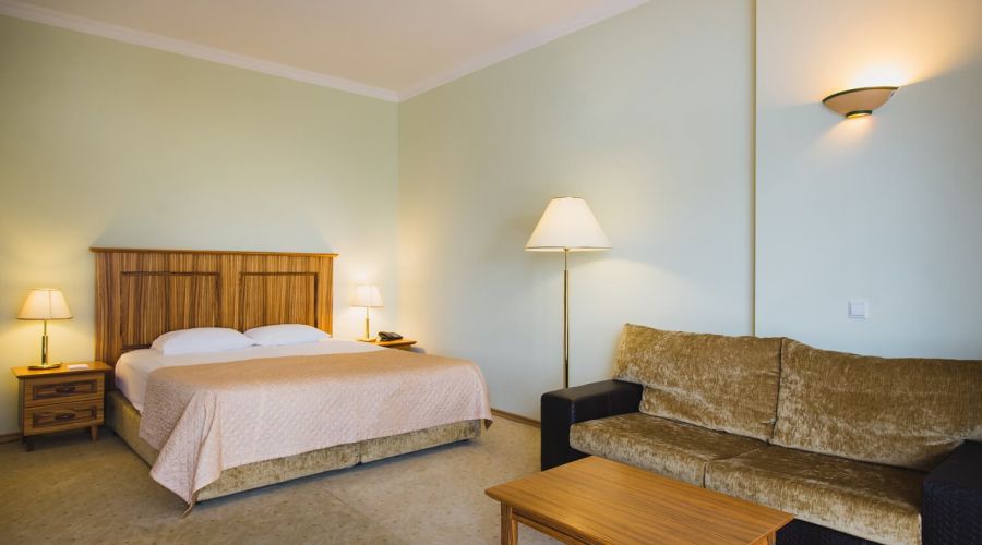 Комфорт 2-местный 1-комнатный (корпус 1,2,9, СПА отель)