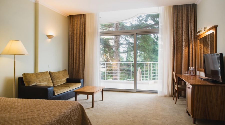 Комфорт 2-местный 1-комнатный (корпус 1,2,9, СПА отель)