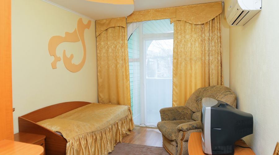 Стандартный 1-местный