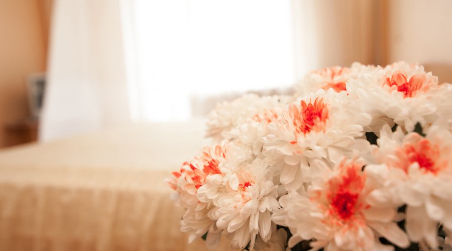 Стандартный Плюс 2-местный