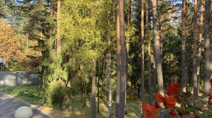 Стандартный 1-местный корпус 3 (6)