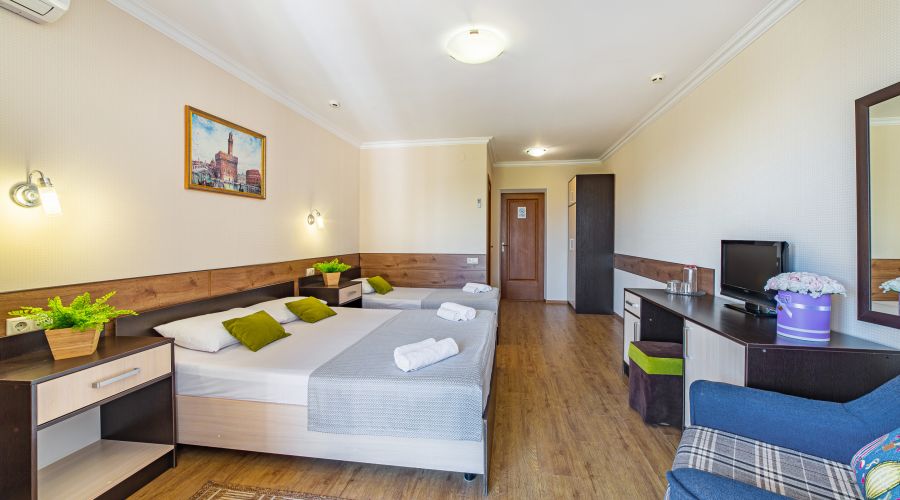 Комфорт+ 3-местный