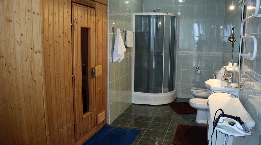 Люкс 1-местный 2-комнатный с сауной