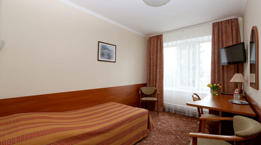 Стандартный 1-местный SNGL