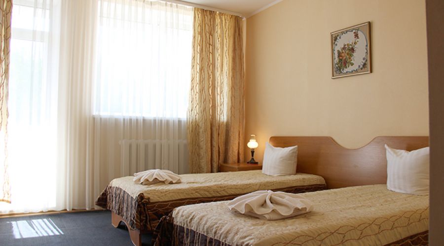 TWIN 2-местный  Twin