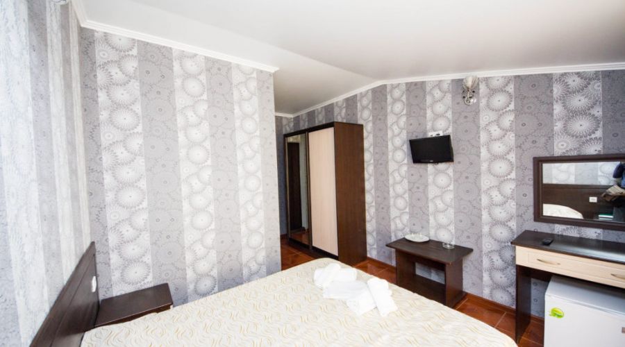 Стандарт 2-местный 