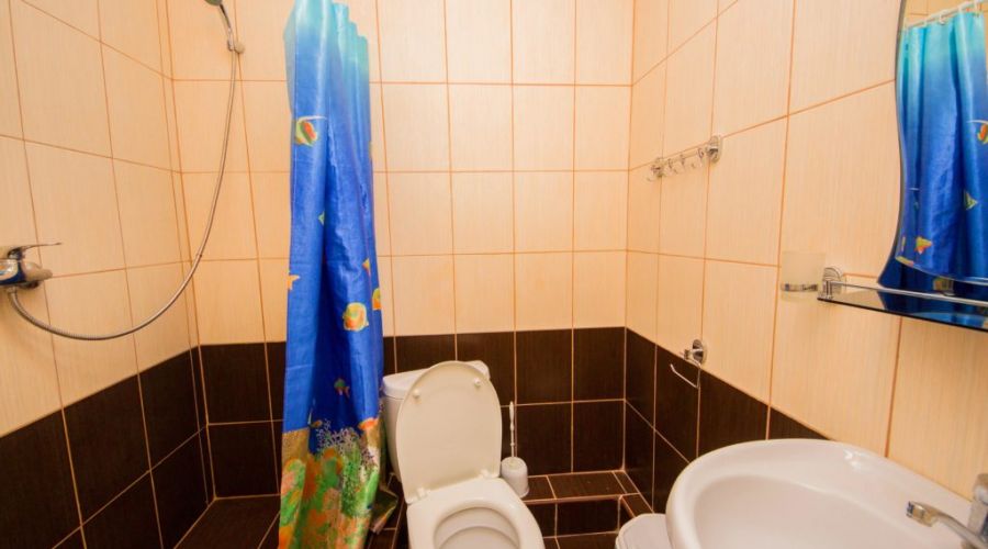 Стандарт 2-местный 