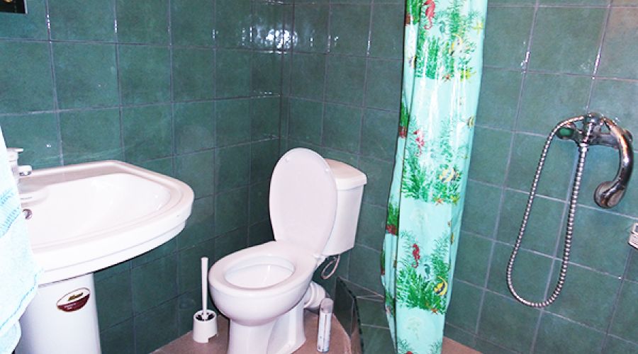 Стандарт 1-местный