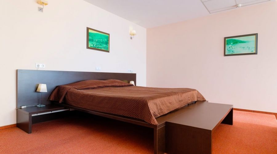 Студия полулюкс 2-местный 1-комнатный