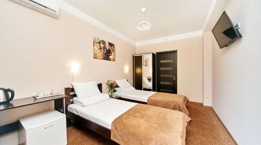 Стандартный 2-местный с балконом или террасой