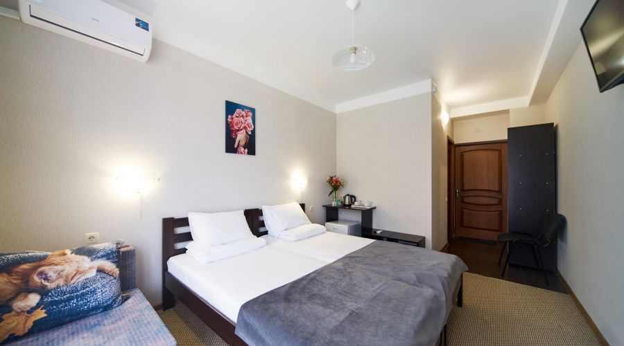 Стандартный 2-местный с балконом или террасой