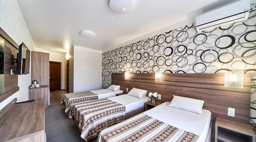 Стандартный 3-местный с балконом или террасой