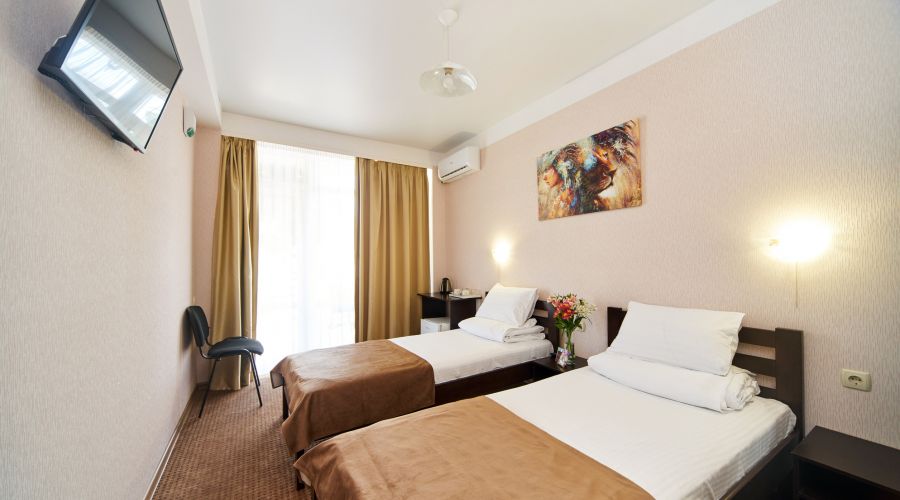 Стандартный 2-местный с балконом или террасой