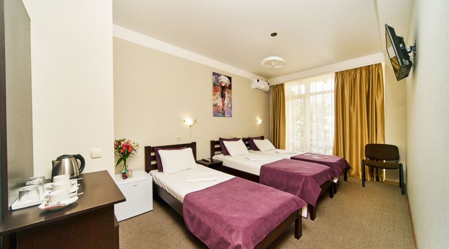 Стандартный 3-местный с балконом или террасой