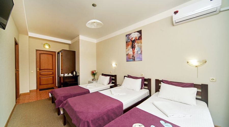 Стандартный 3-местный с балконом или террасой