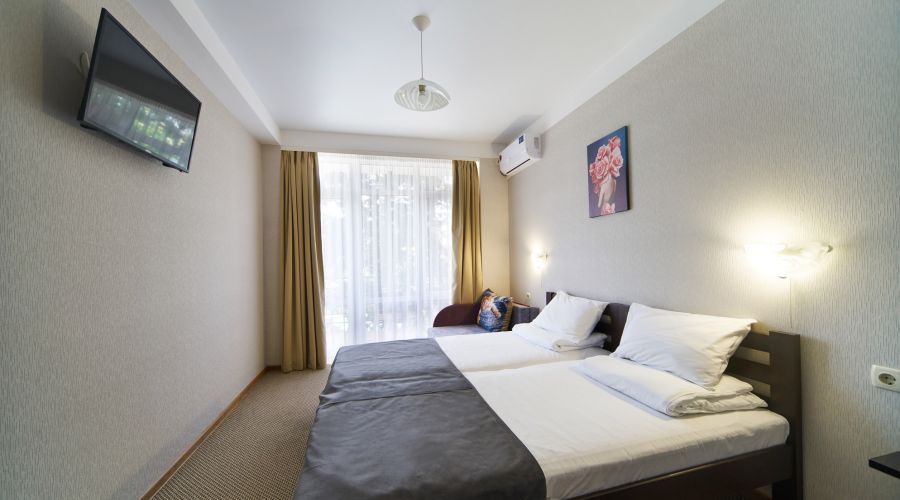 Стандартный 2-местный с балконом или террасой