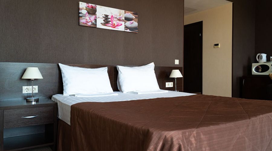 Полулюкс 2-местный