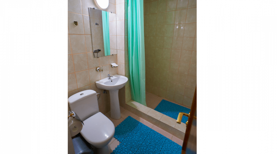 Полулюкс 2-местный