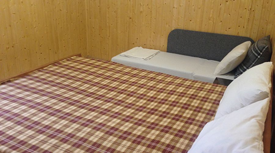 Стандартный 2-местный 1-комнатный с деревянной облицовкой 