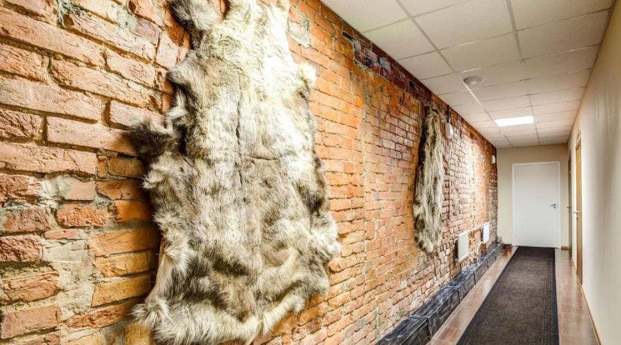 Студия 2-местная улучшенная